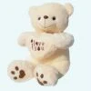 Ours Peluche Avec Coeur 2 Ours Peluche Avec Coeur -Ma Pleuche Soldes IMG Ours peluche avec coeur 1 1