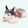 Peluche Chien Husky Géant 2 Peluche Chien Husky Géant -Ma Pleuche Soldes IMG Peluche chien Husky geant 1