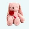 Peluche Géante Lapin Avec Une Rose 1 Peluche Géante Lapin Avec Une Rose -Ma Pleuche Soldes IMG Peluchege ante lapin avec une rose 1