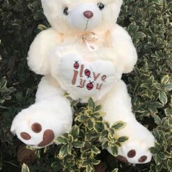 Ours En Peluche Poilu 11 Ours En Peluche Poilu -Ma Pleuche Soldes Ours en peluche poilu Peluche Saint Valentin a7796c561c033735a2eb6c BeigeBlanc 6
