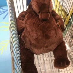 Peluche Ours Géant Super Doux -Ma Pleuche Soldes Peluche ours geant super doux Peluche Geante Peluche Ours Peluche Animaux a7796c561c033735a2eb6c Marron 8